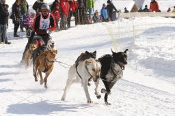 Lenk 2012 SM